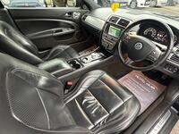 JAGUAR XK